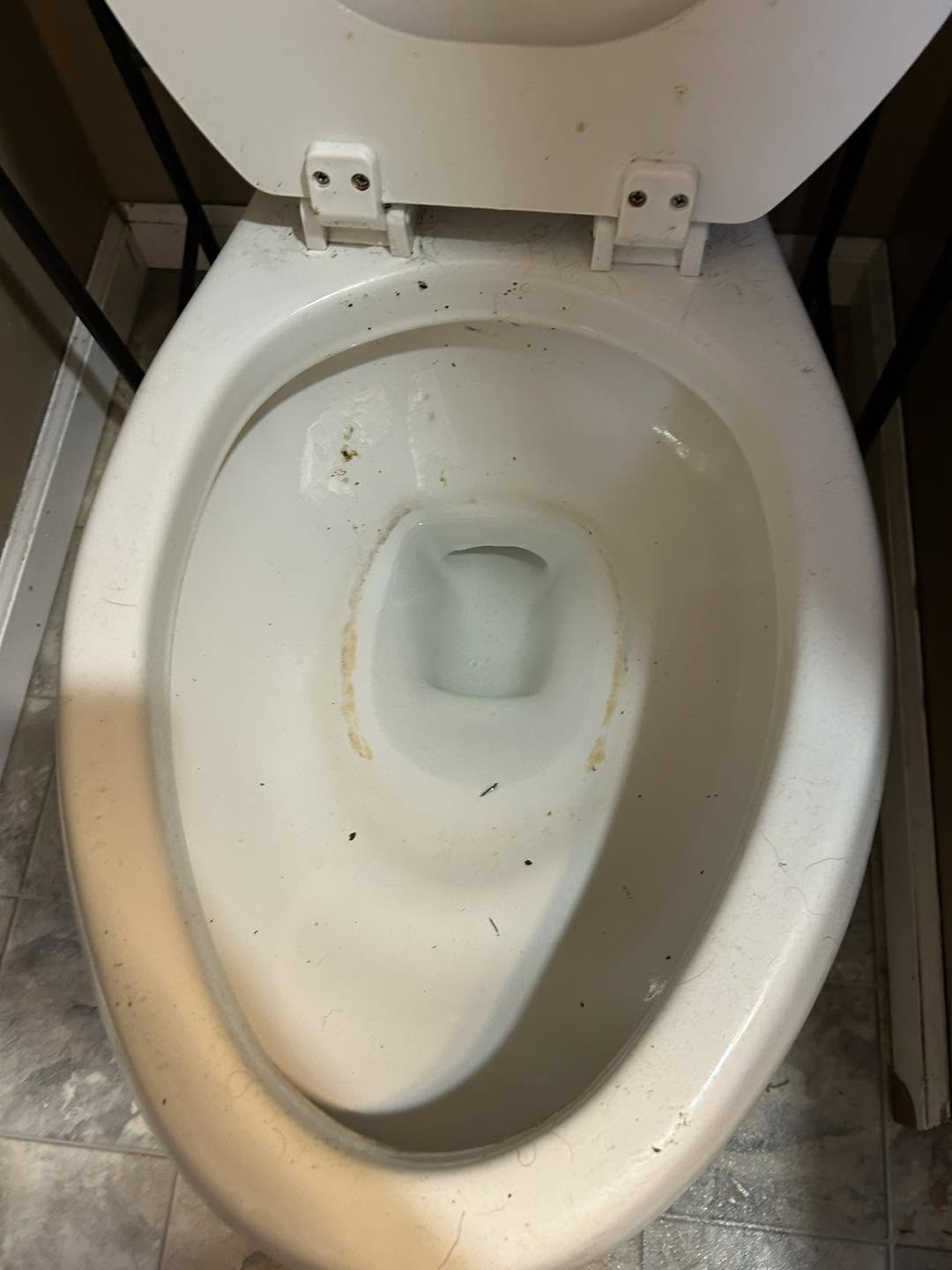 Toilet bowl with rings and specks before cleaning